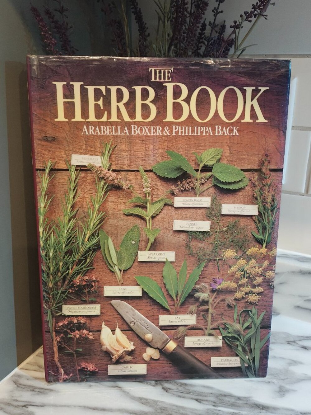 Vintage The Herb Book by Arabella Boxer & Philippa Back – 1983 Coffee Table Book